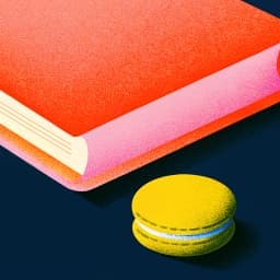 Vocab Flash Pro icon